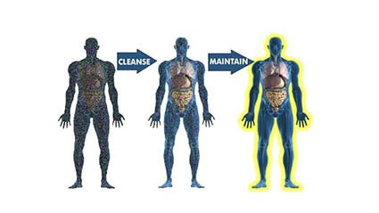 Detoxification